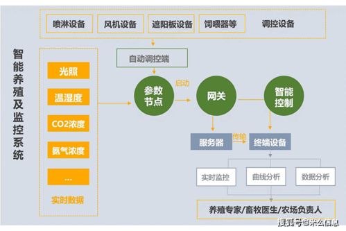 養(yǎng)殖系統(tǒng)開發(fā) 信息系統(tǒng)集成服務(wù)推動(dòng)傳統(tǒng)水產(chǎn)養(yǎng)殖業(yè)變革